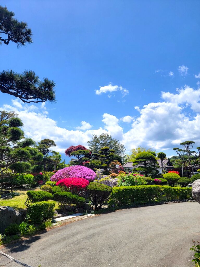 世界文化遺産 忍野八海
