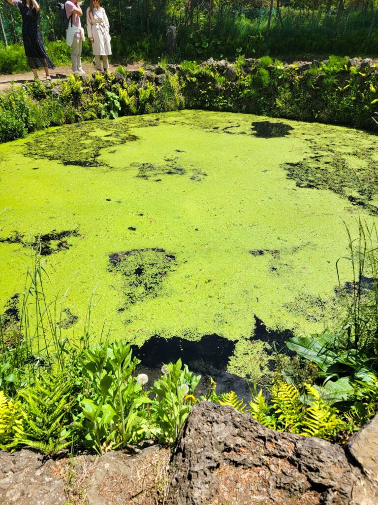 世界文化遺産 忍野八海