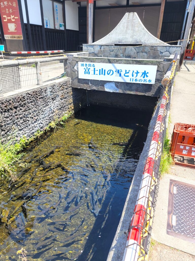 世界文化遺産 忍野八海