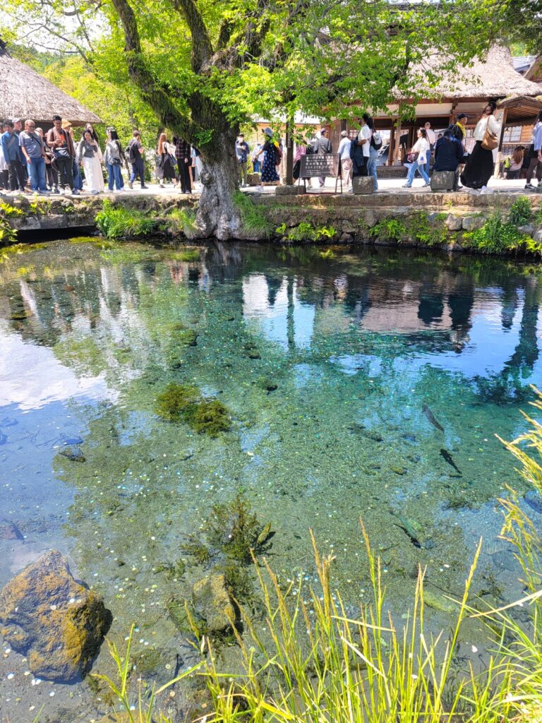世界文化遺産 忍野八海
