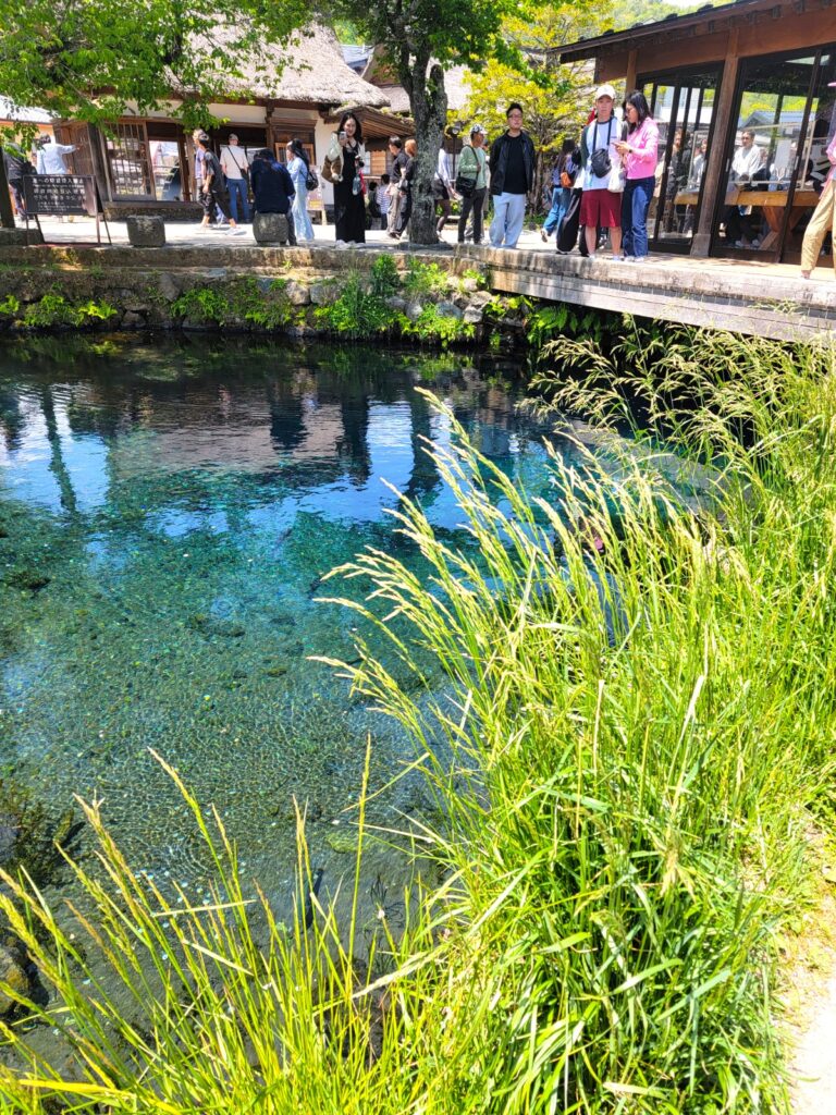 世界文化遺産 忍野八海
