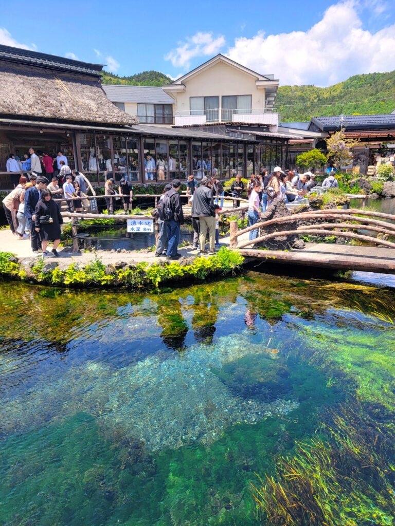 世界文化遺産 忍野八海