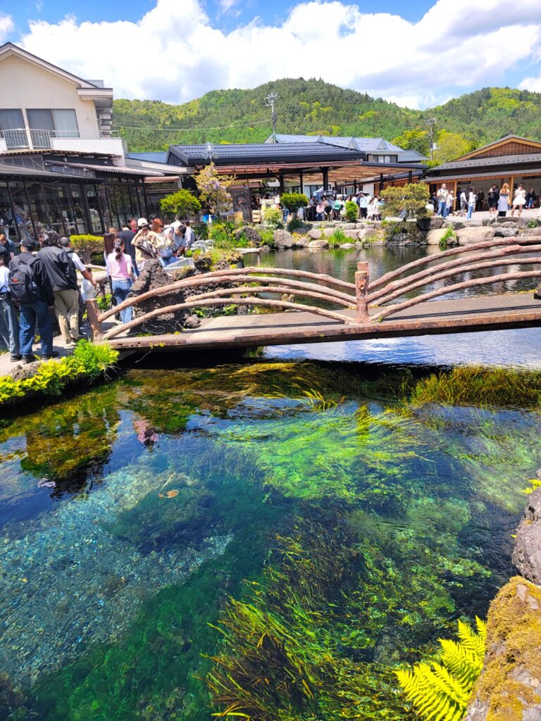 世界文化遺産 忍野八海